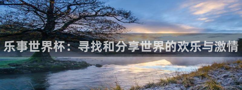世界杯足球赛2026:乐事世界杯:寻找和分享世界的欢乐与激情