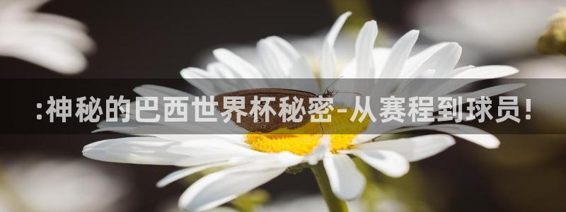 世界杯欧洲区赛程：:神秘的巴西世界杯秘密-从赛程到球员!