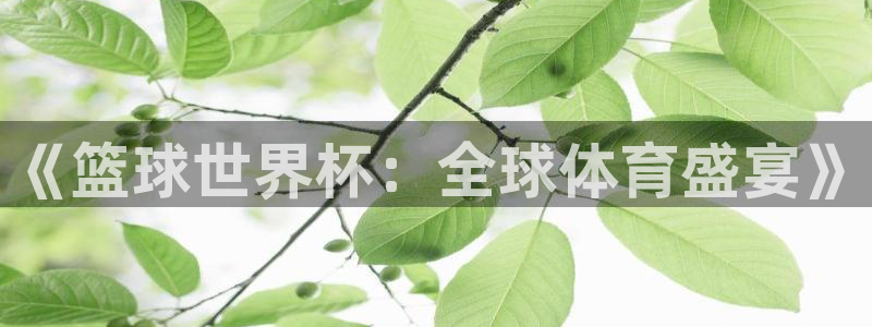 世界杯比赛直播：《篮球世界杯：全球体育盛宴》
