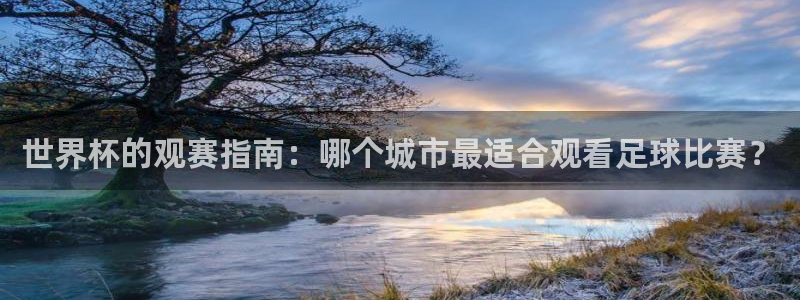 2026世界杯赛程表完整版：世界杯的观赛指南：哪个城市最适合观看足球比赛？