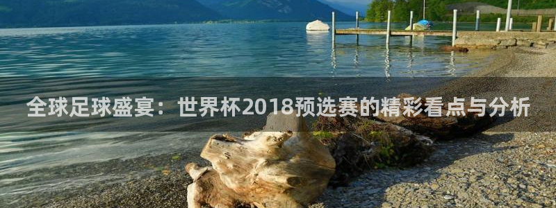 世界杯预选赛直播：全球足球盛宴：世界杯2018预选赛的精彩看点与分析